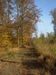 Photo-village-automne-002